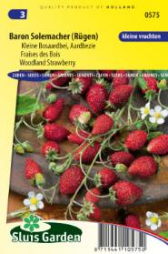 Alpine Strawberry Baron von Solemacher (Fragaria) 540 seeds SL